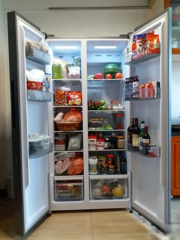 A fridge photo used as input